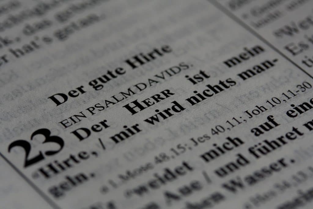 PSalm23
